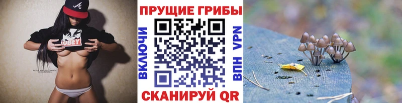 Псилоцибиновые грибы мицелий Великий Новгород